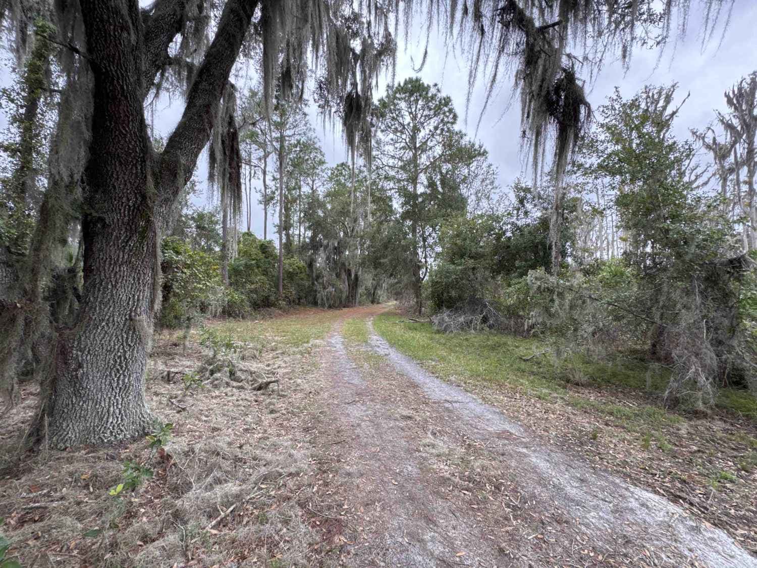 Burnt Island Loop