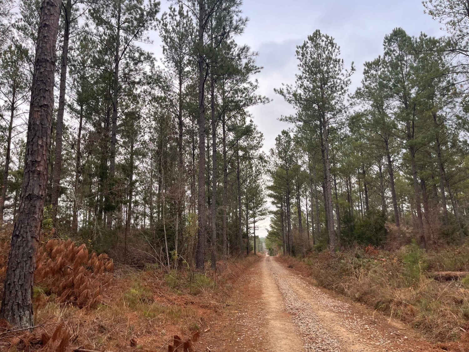 Log Creek Road
