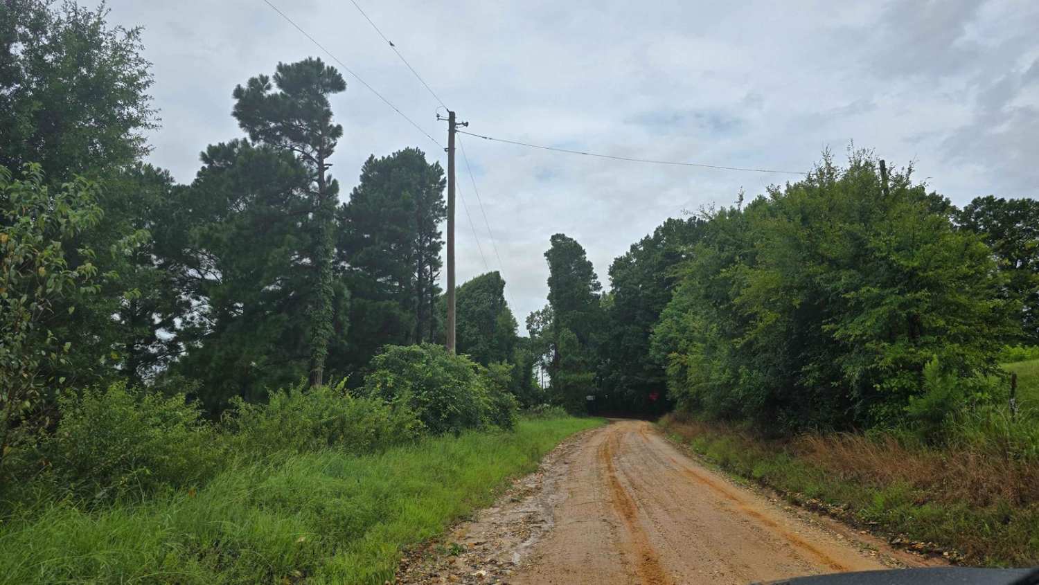 Highway 355 To Nacatoch Ravines