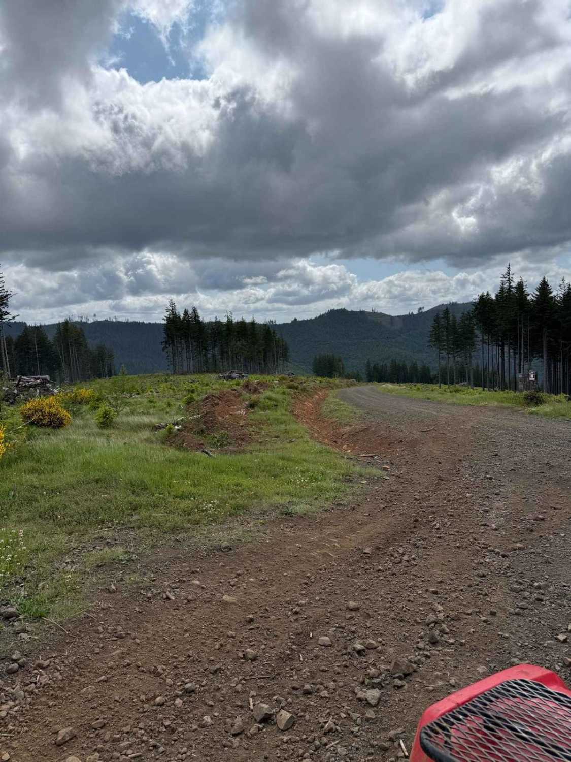 Main Road Rock Candy