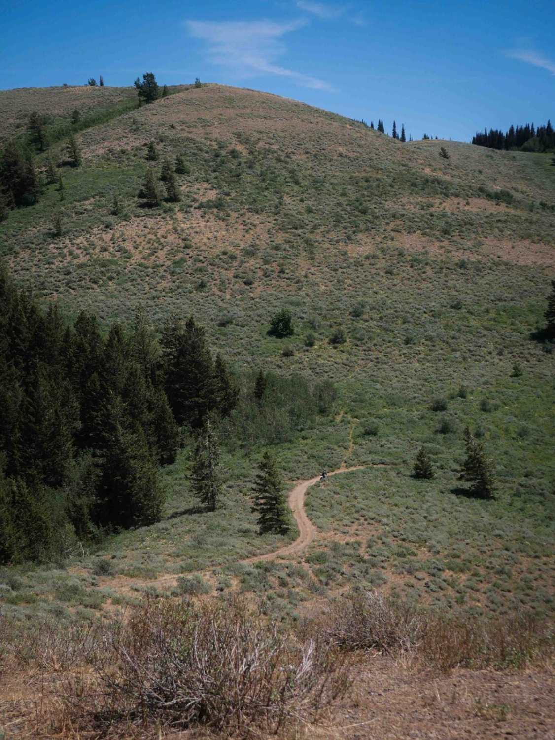 Middle South Sulphur Canyon #5243