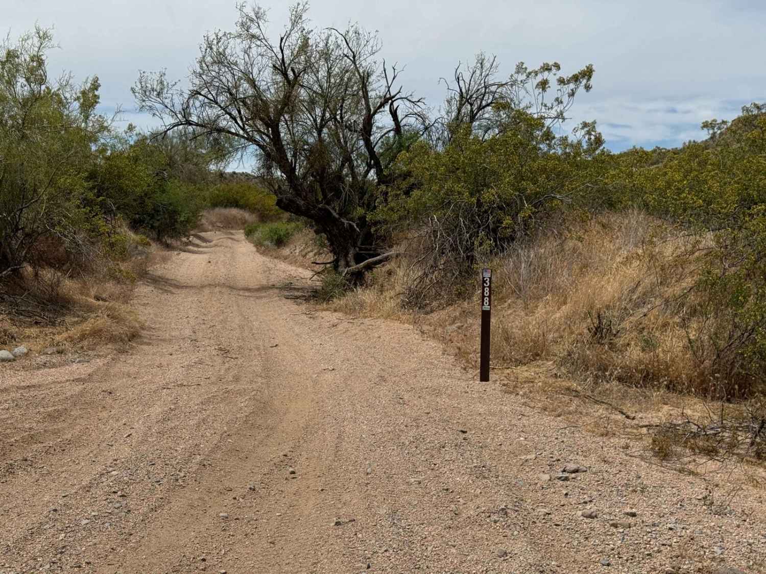 Trail 388 Connector