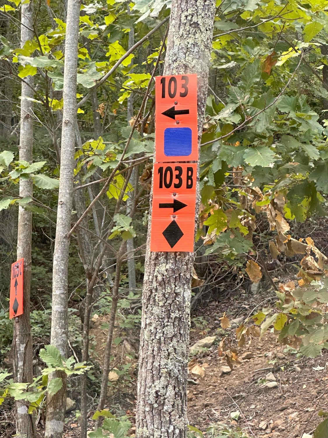 103