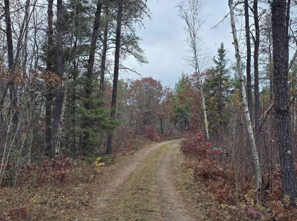 Twelve-Hundred Trail (SNF)