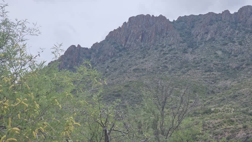 Walker Gulch to French Creek