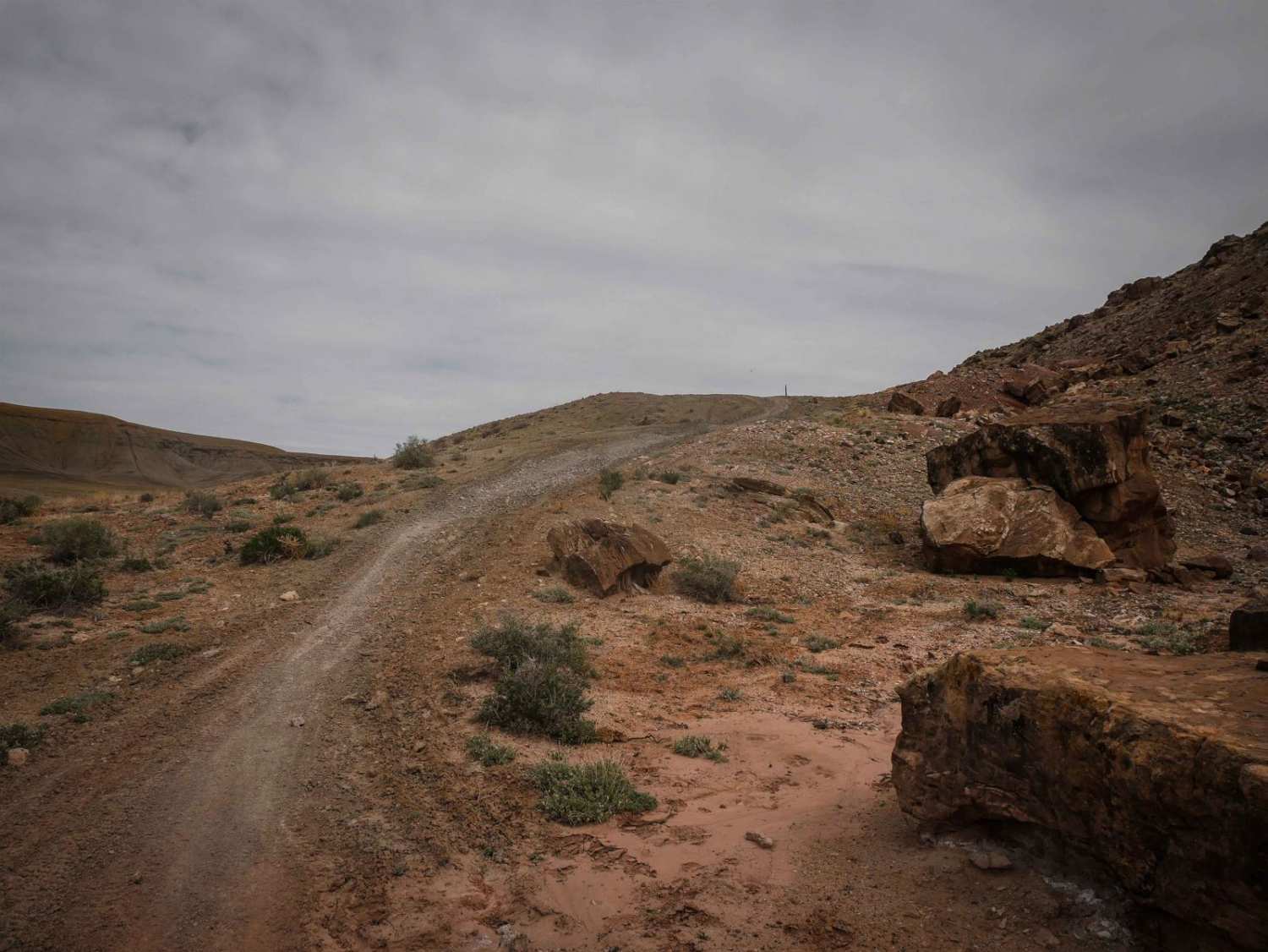 Enduro Loop 