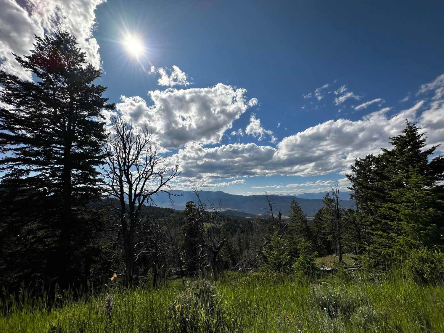 Carter Mountain Access