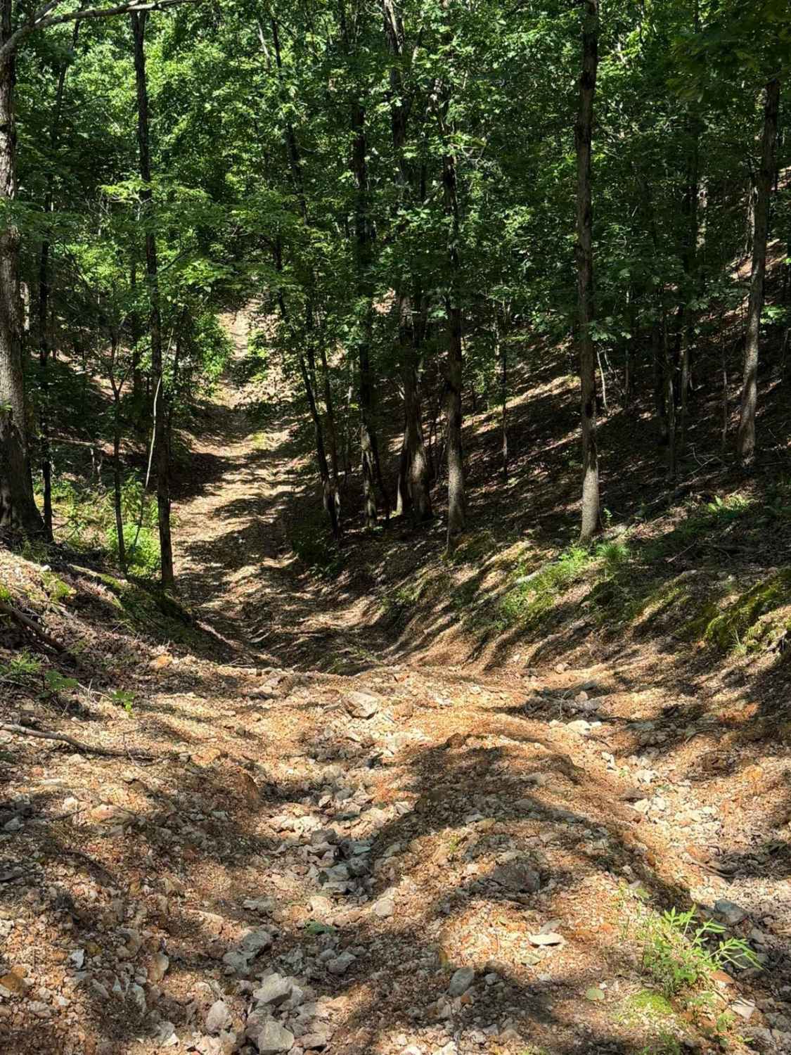 Joey's Trail