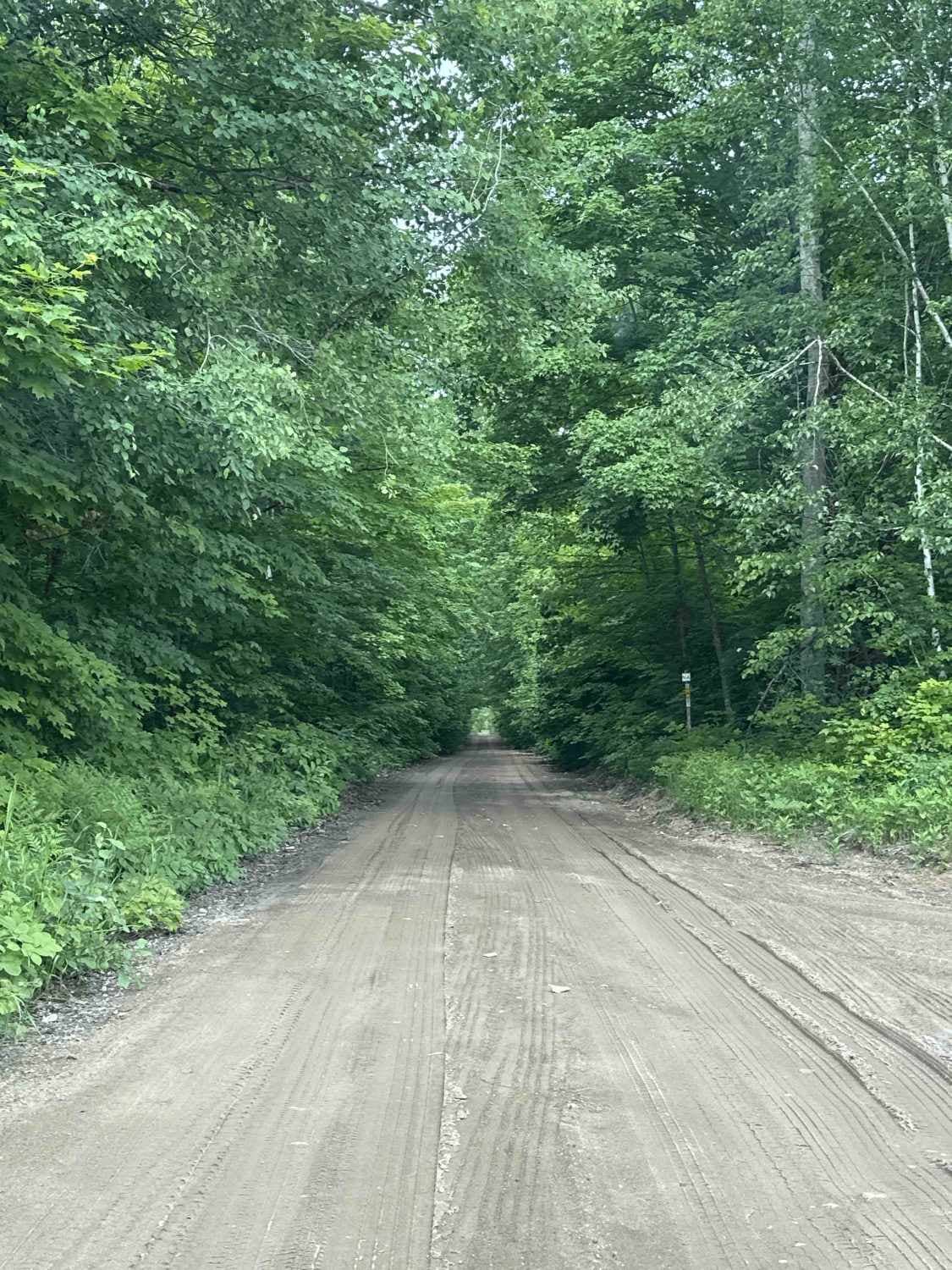 Trout Lake to Brevort