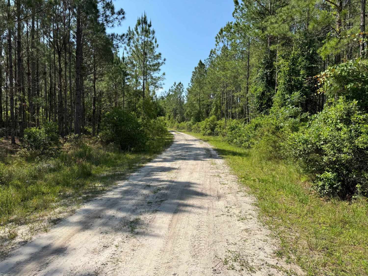 Fish Camp Road - CR2082 Connector 