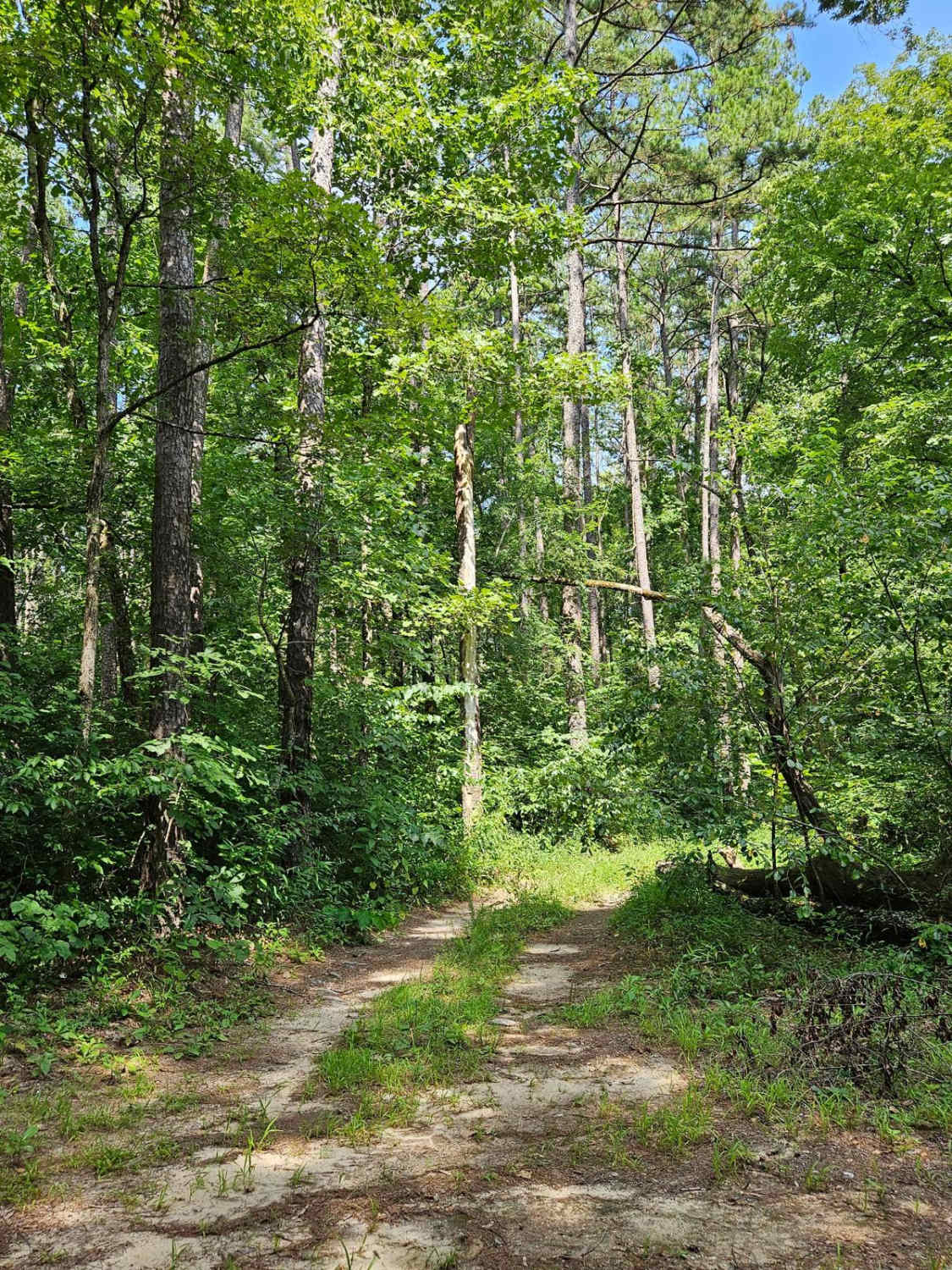 Boom Hole Access - FSR 3155B