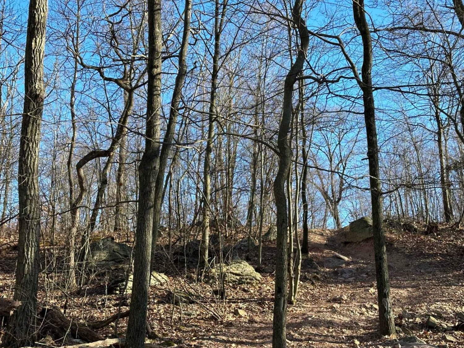 Hills