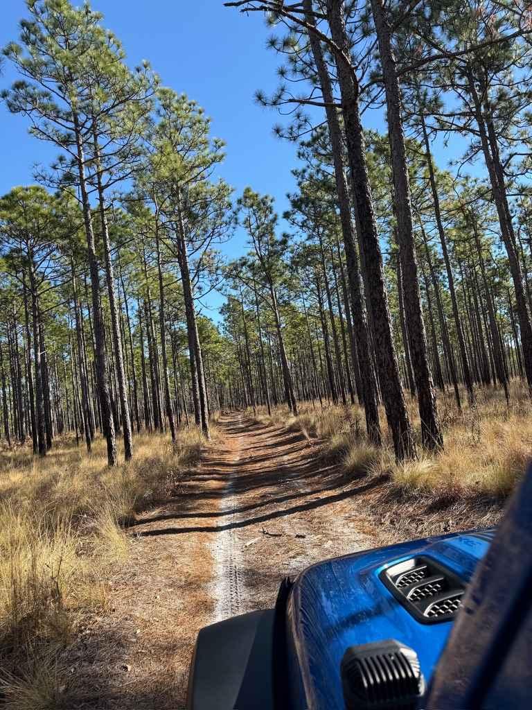 Pettiford Creek Trail 8