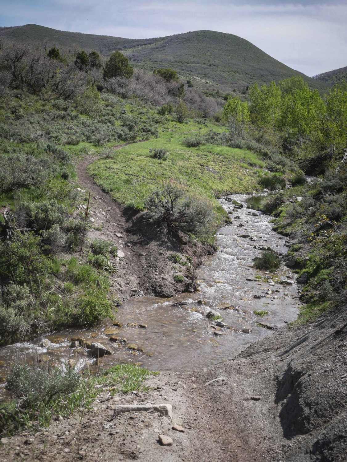 Cottonwood Second Water #018