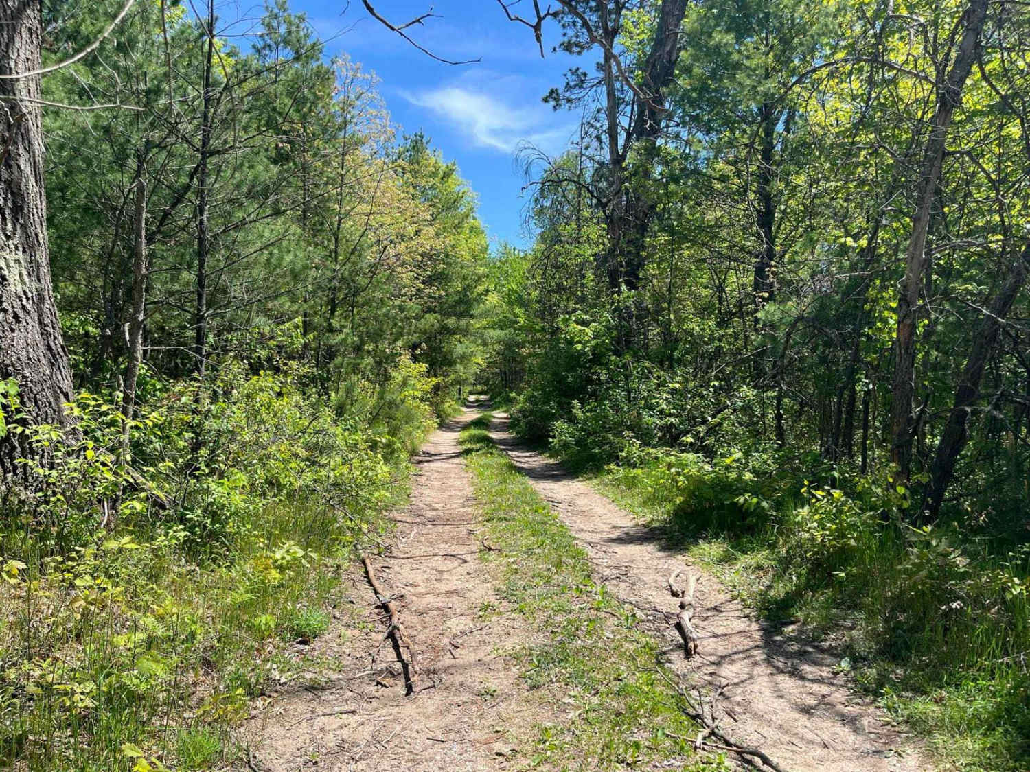 Cadillac Pathway