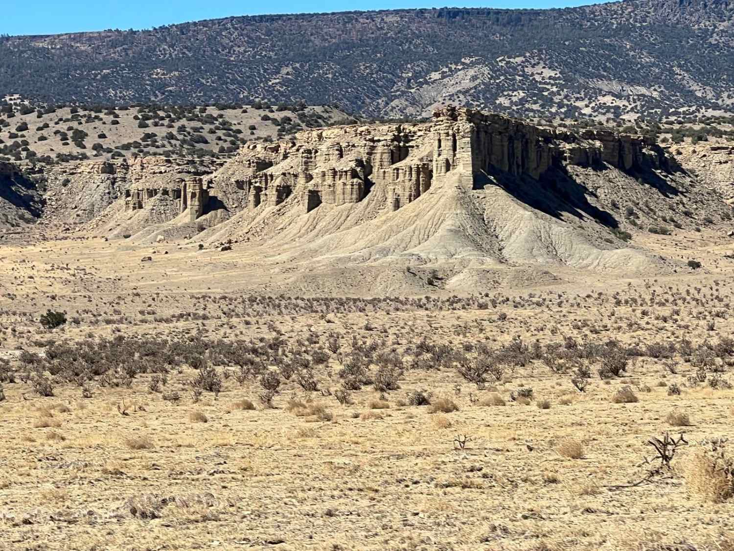 Wilderness Study Areas