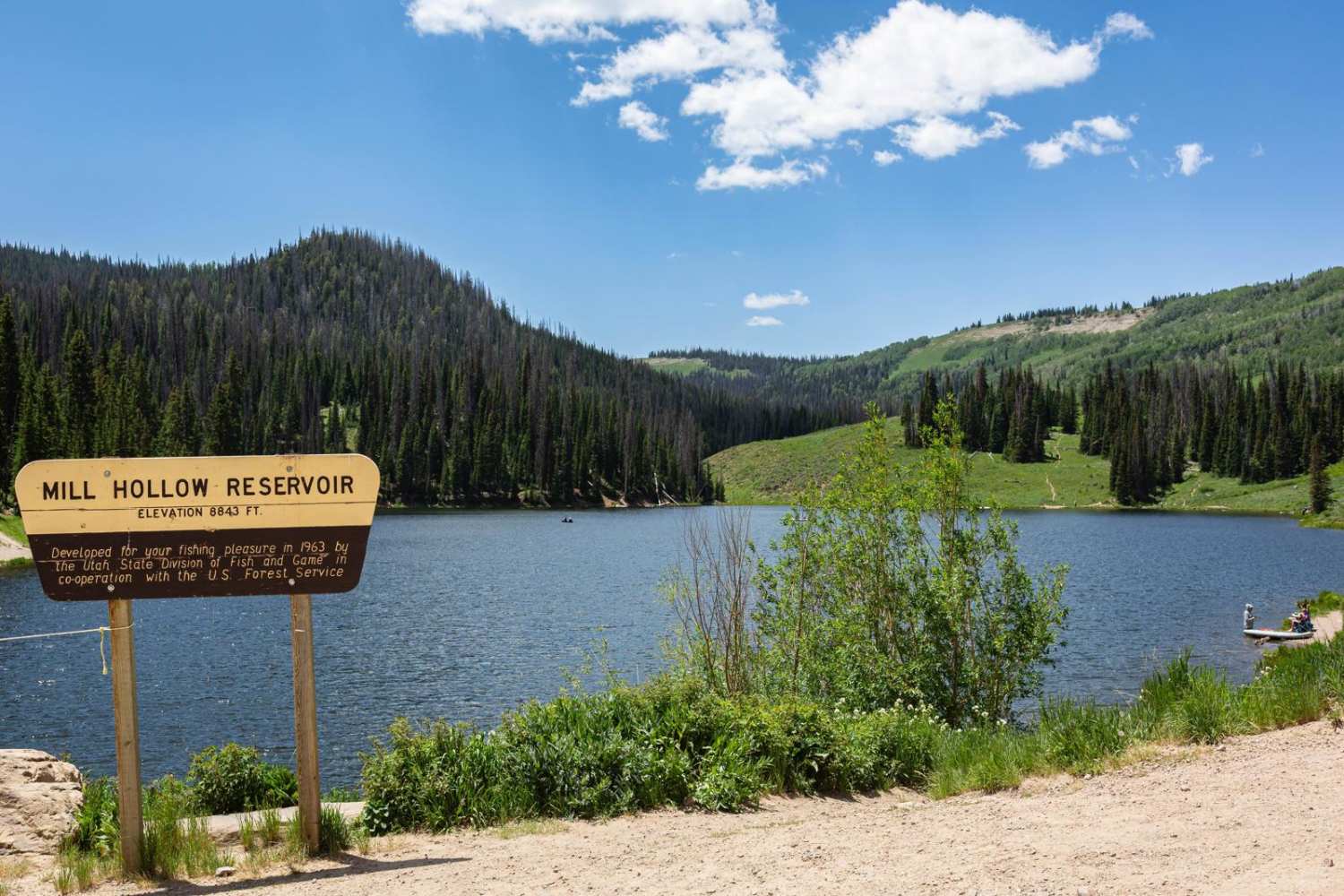 Mill Hollow - Duchesne Ridge (FR 70054)