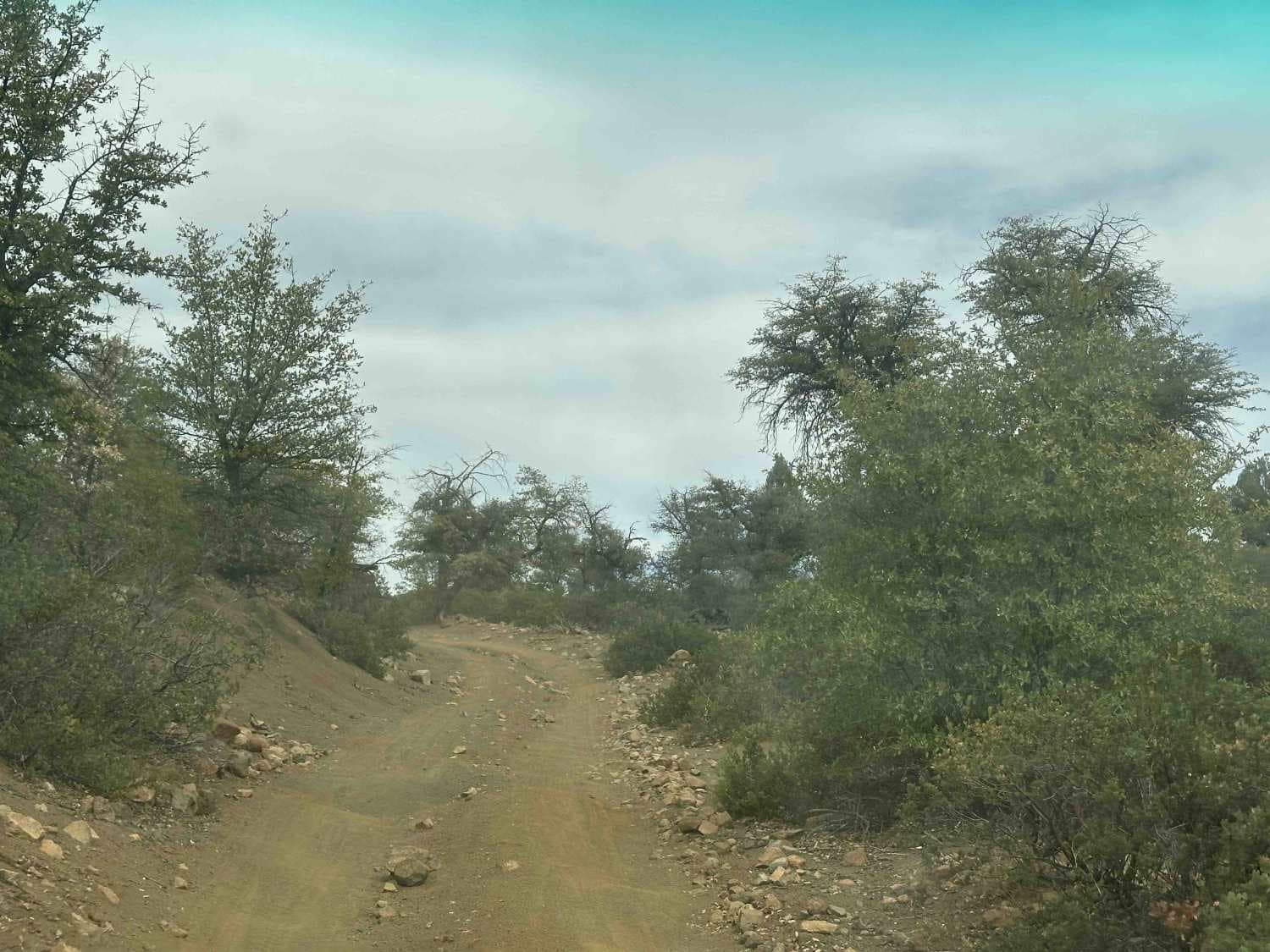 Bear Head Spring Segment