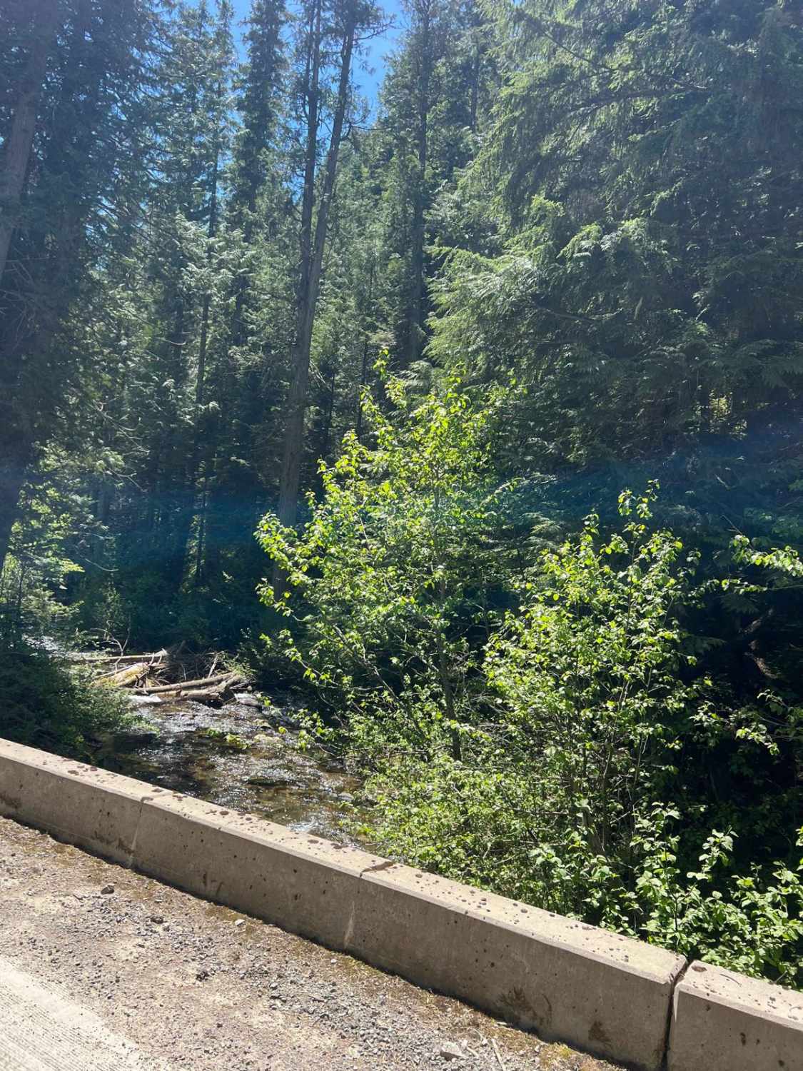 Bird Creek Divide