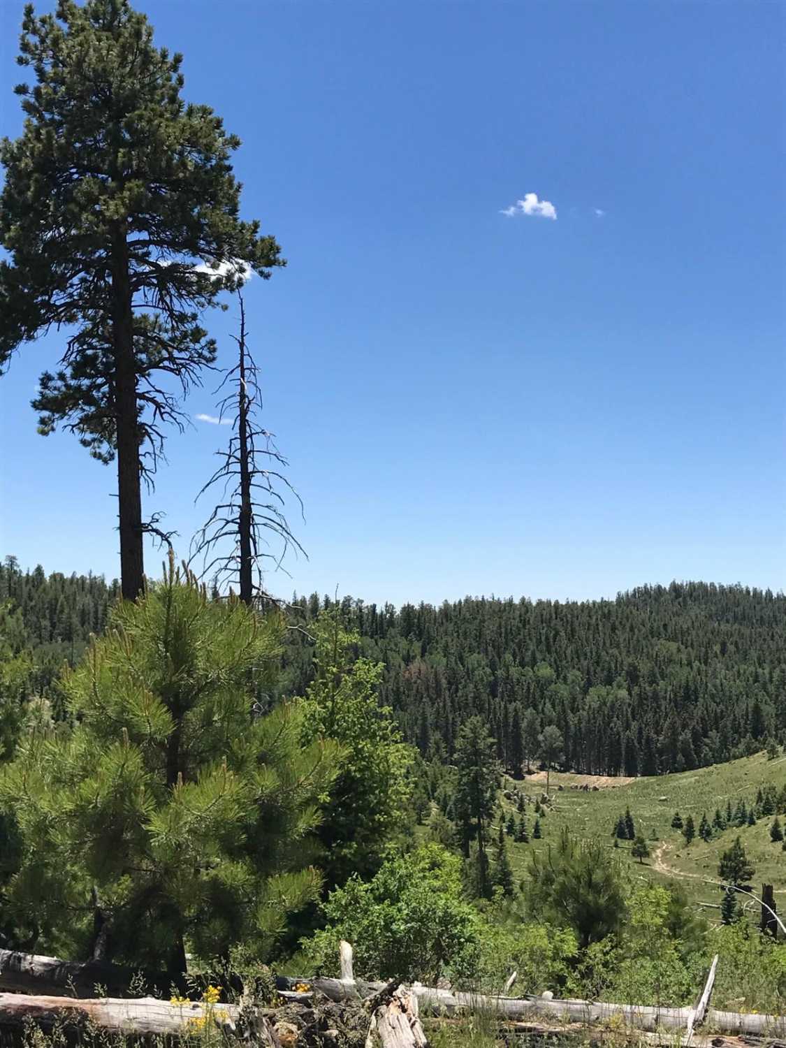 Twin Cabins - FR 527