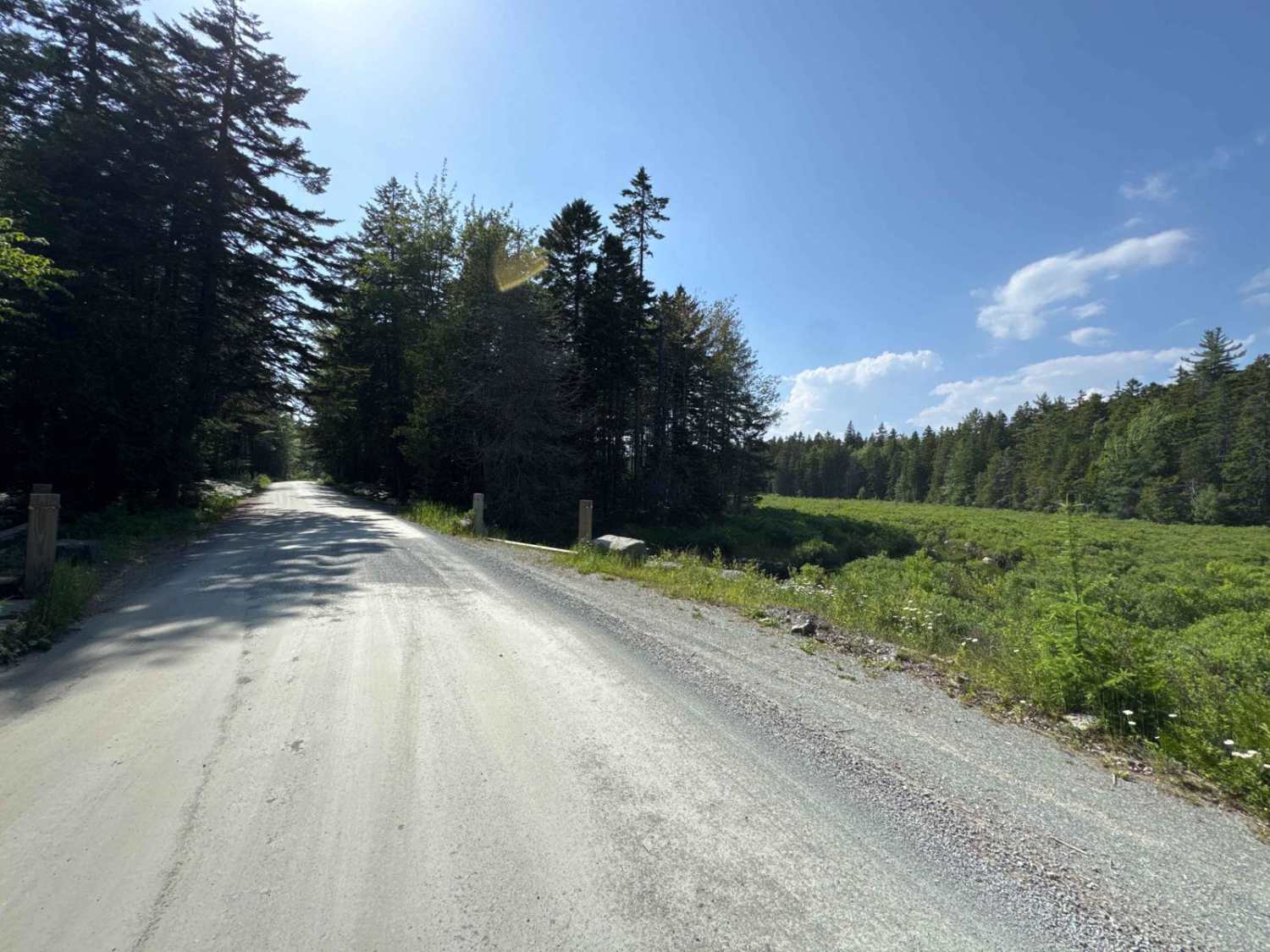 Seal Cove Road