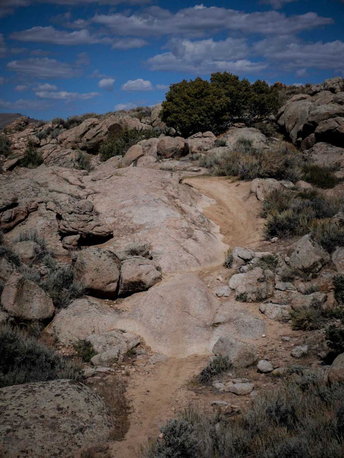 The Ridge Trail