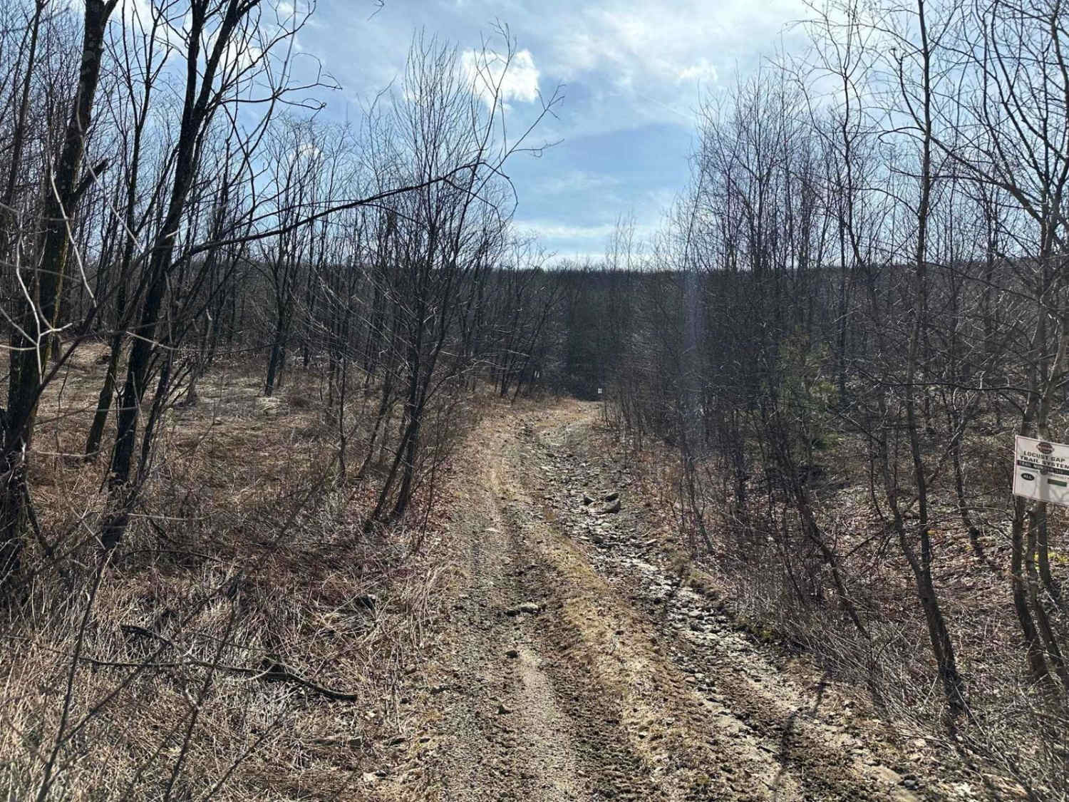 Locust Gap 39