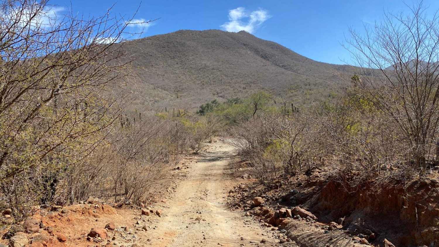 Paseo