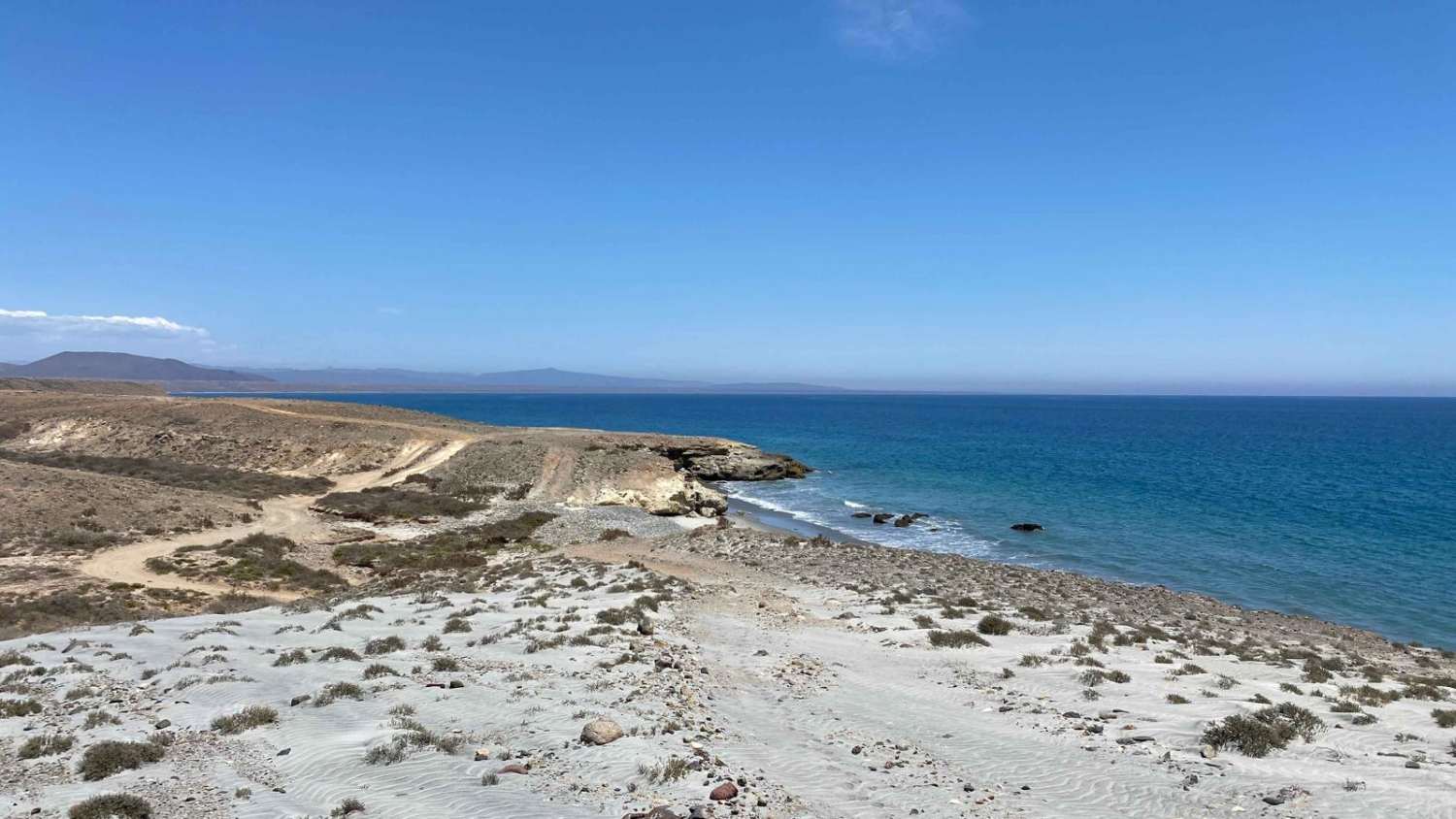 Santa Rosaliita Coastal