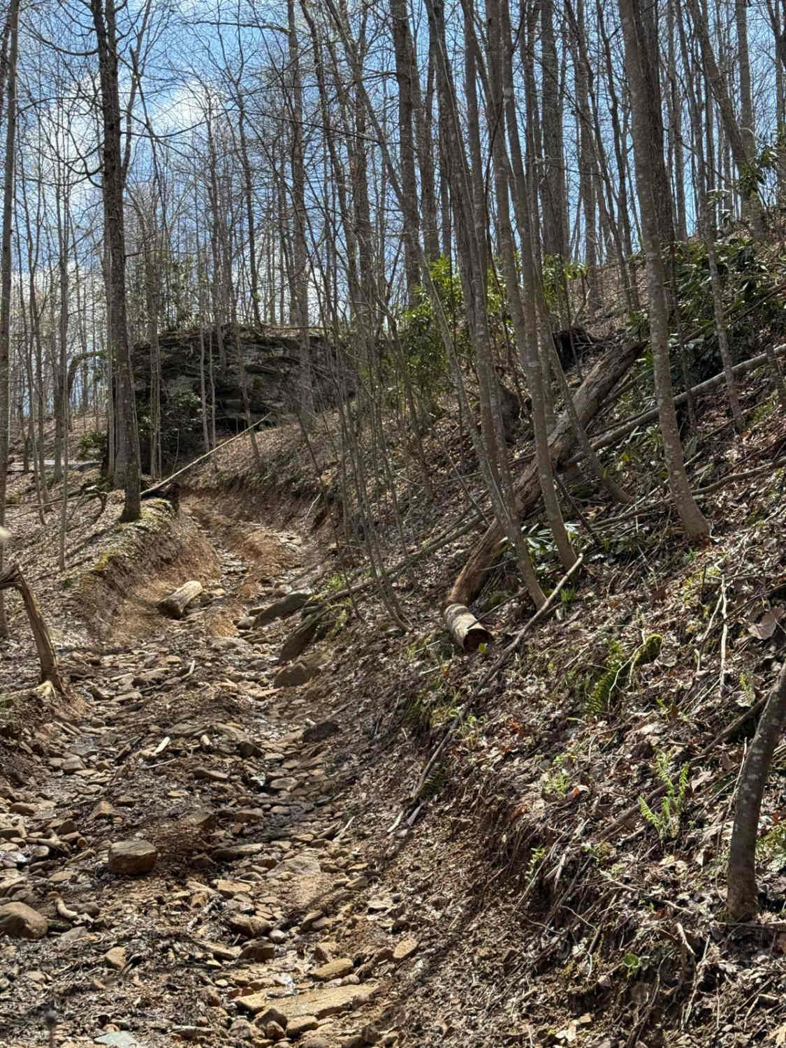 Lookout Loop