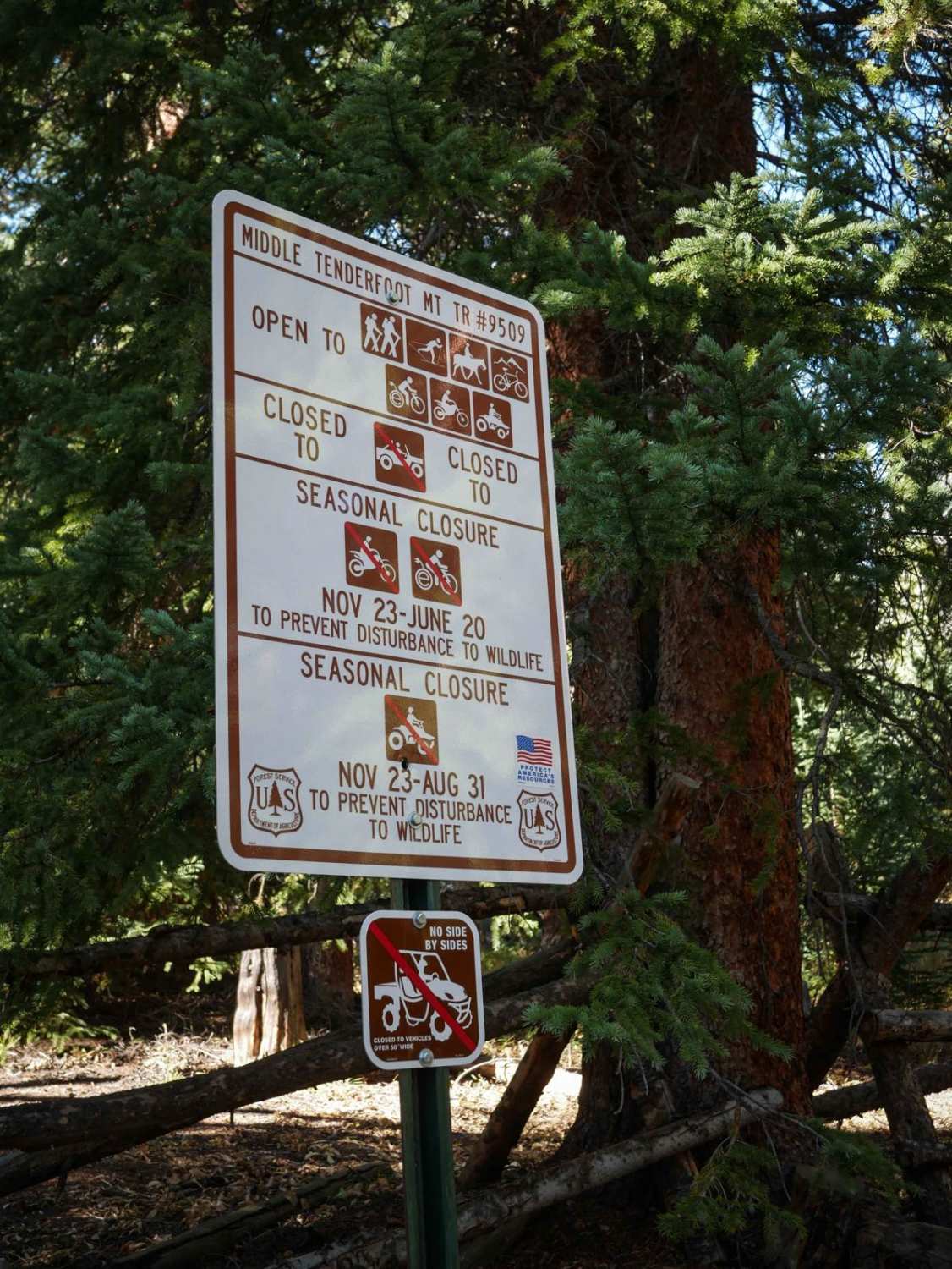 Middle Tenderfoot Mountain  