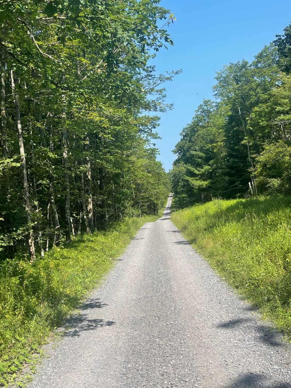 Big Springs Road