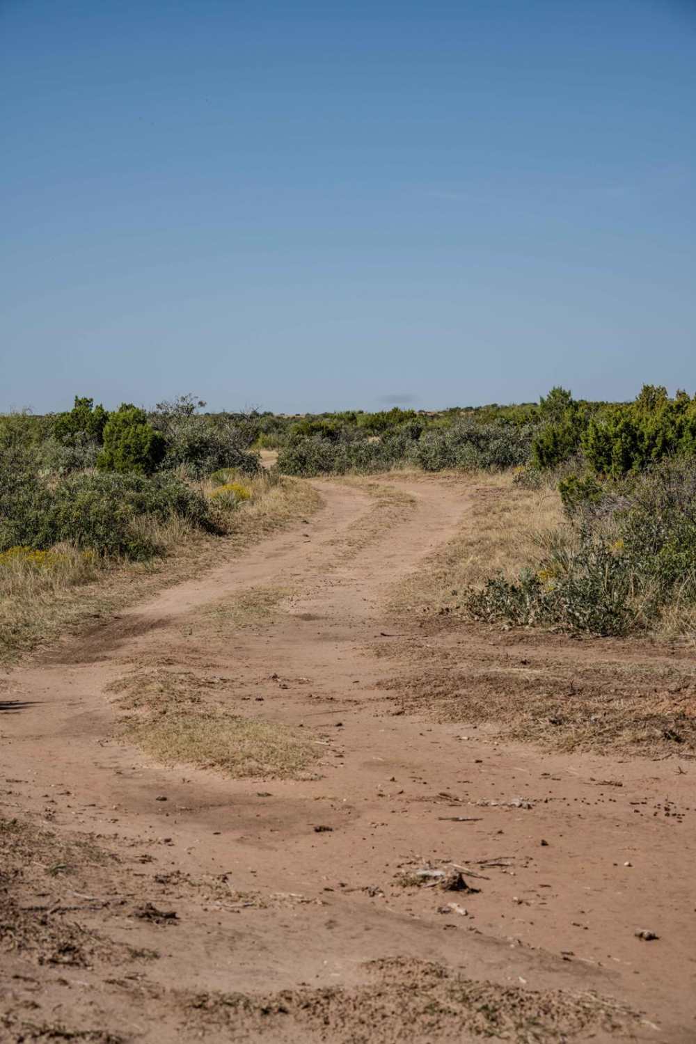 East Rise Point Trail