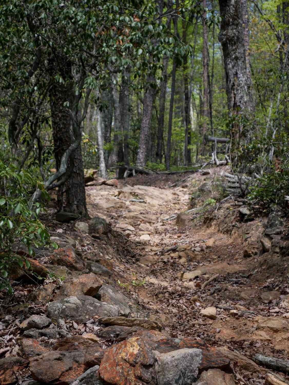 Copperhead Trail B 