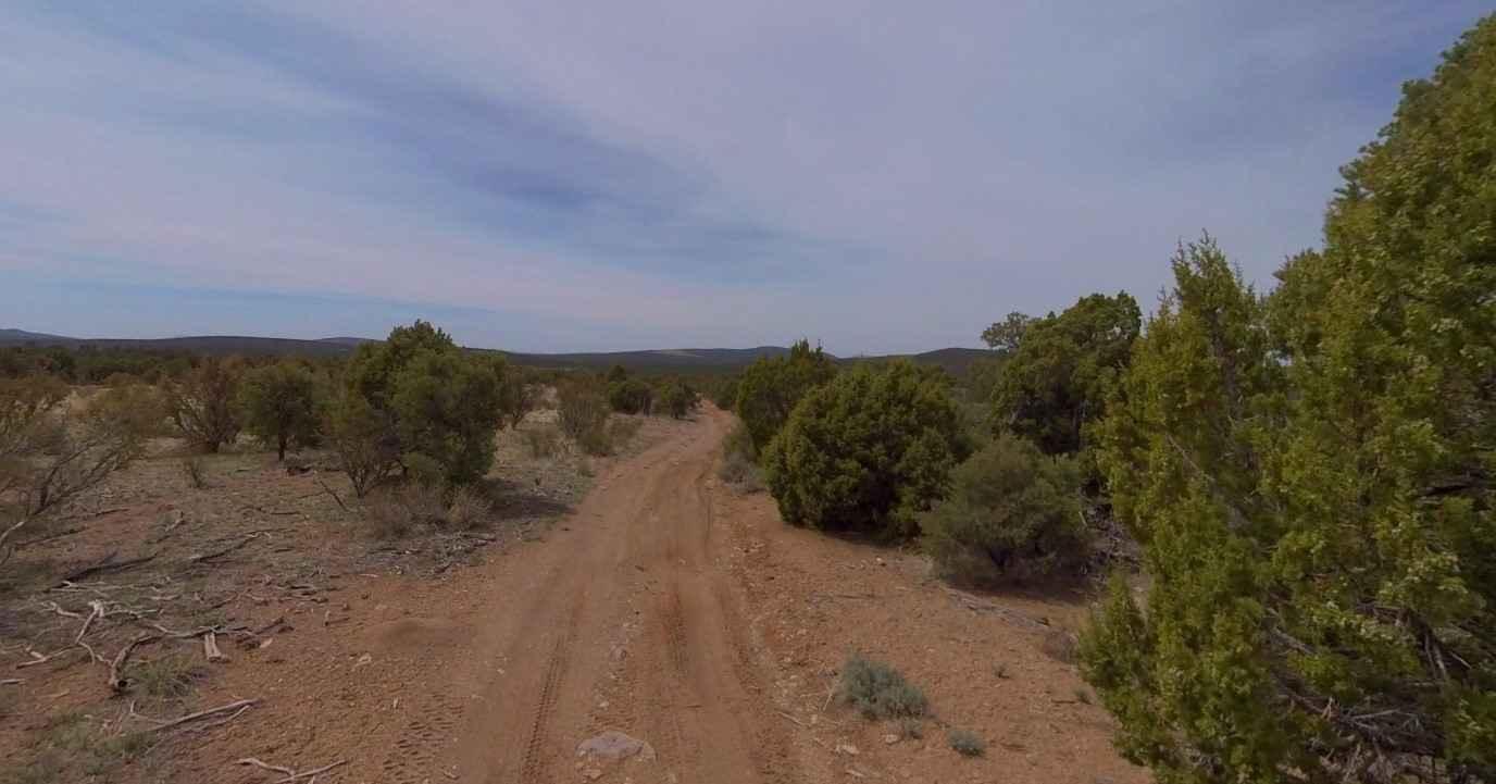 Dixie National Forest-FR30875