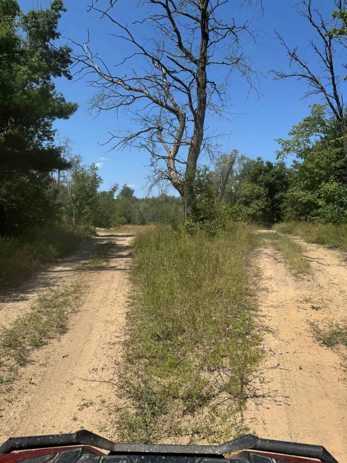 Little Michigan