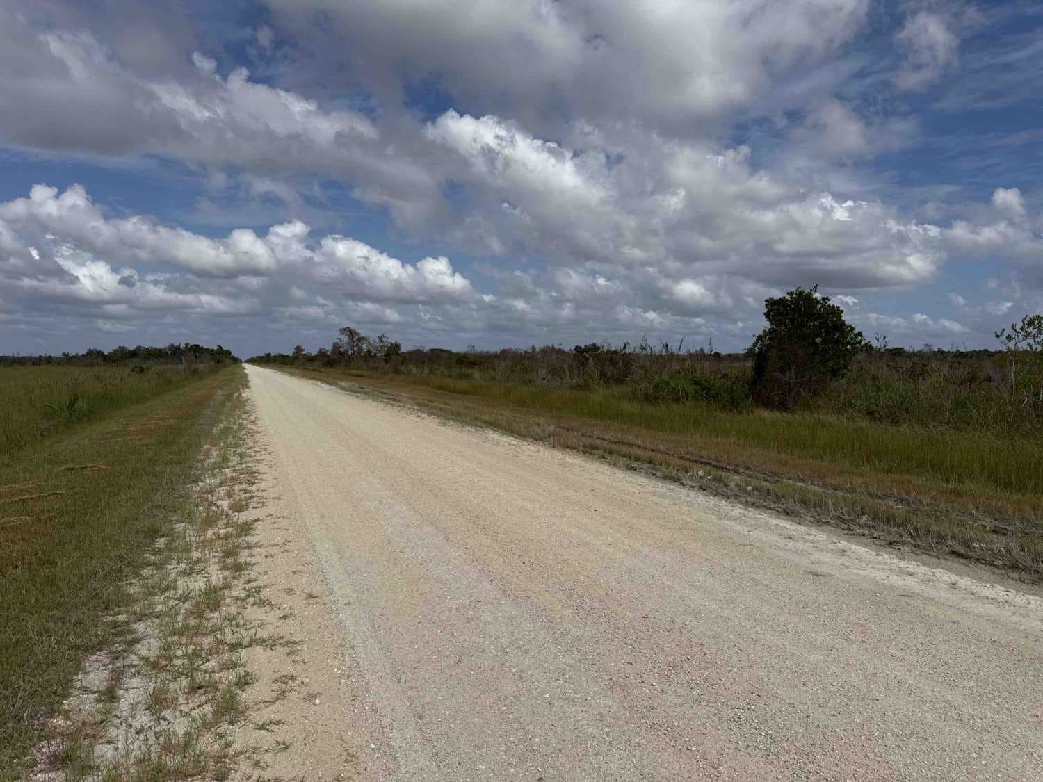 Turner River Road - CR 839