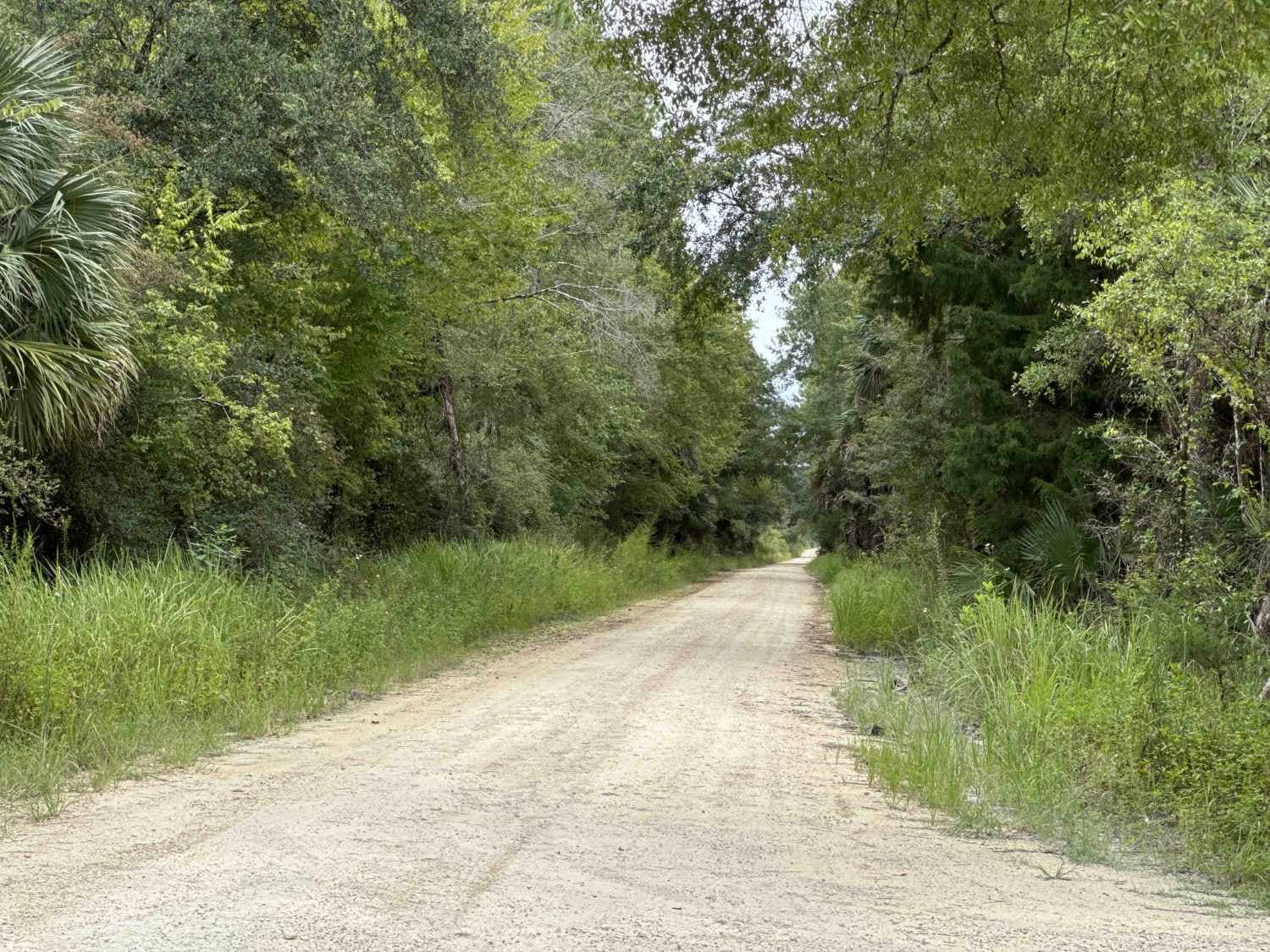 Ocklawaha Trail - ONF SE24ST