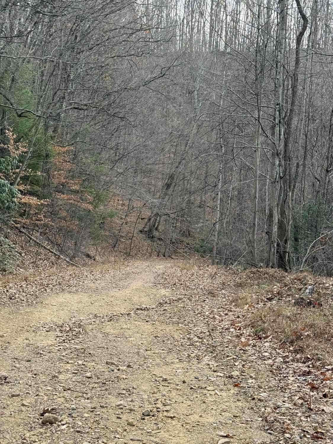 Spruce Run Road