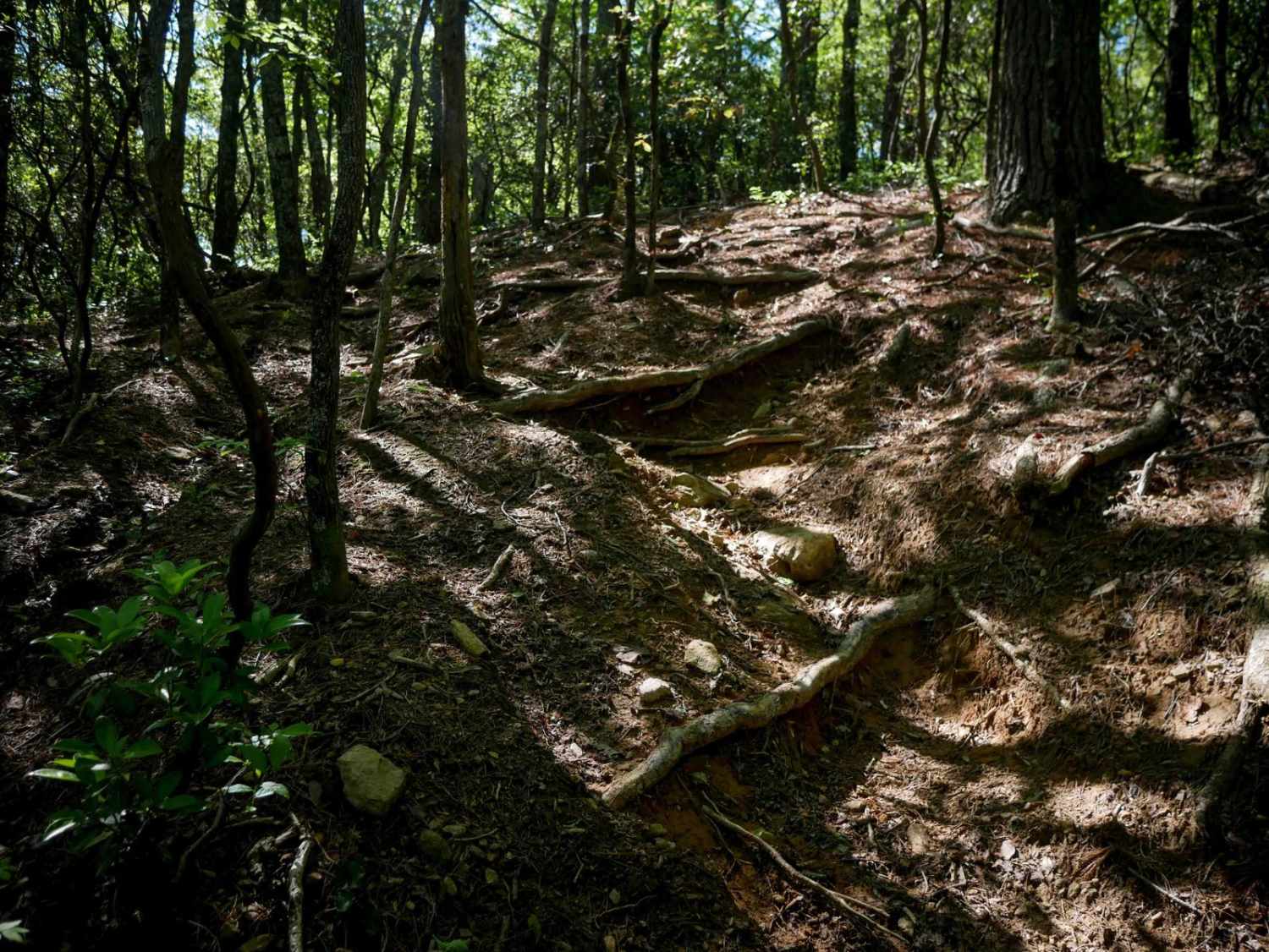 Enduro Trail