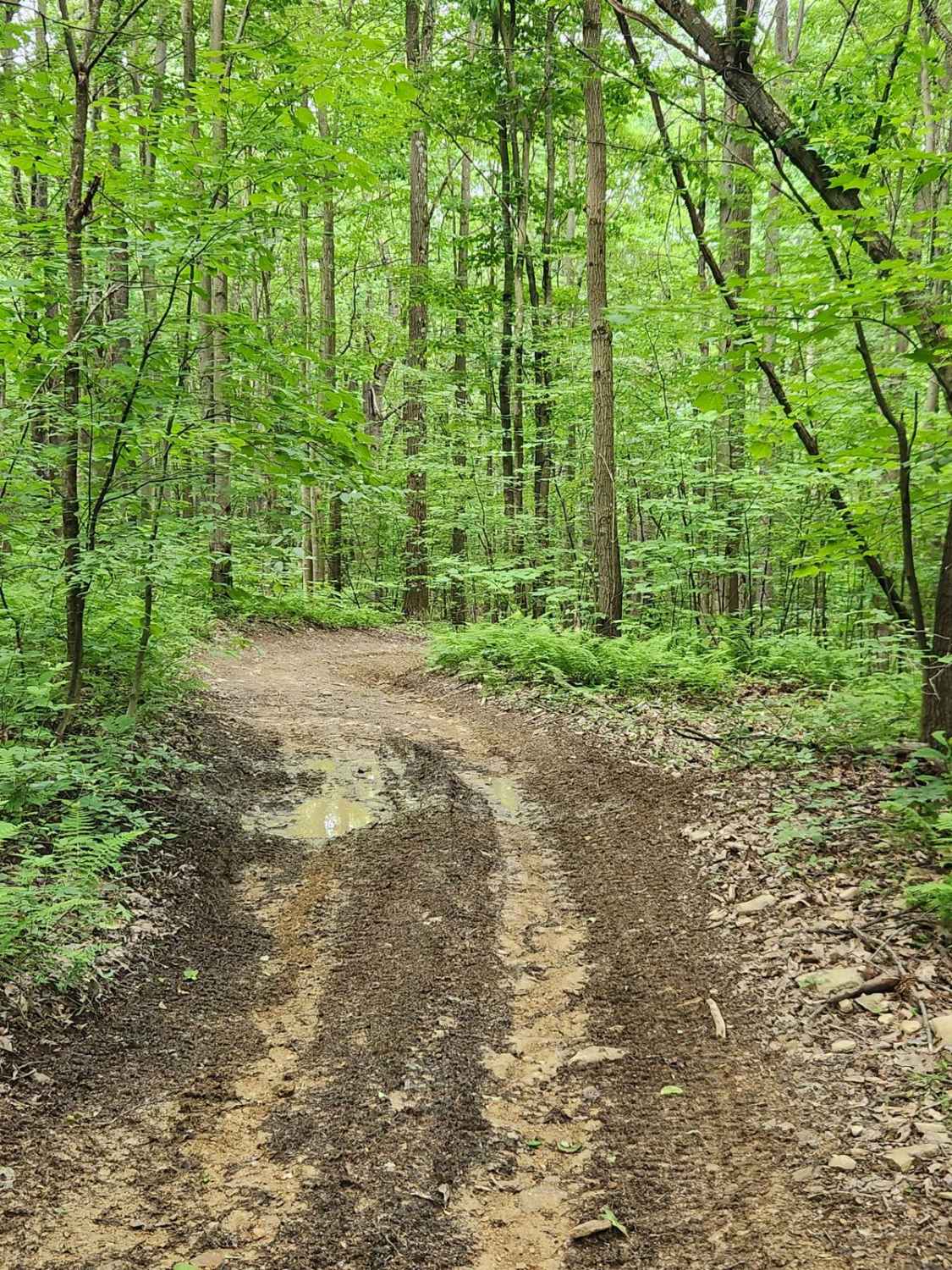 Trail 2 - Black - Rock Run Recreation Area