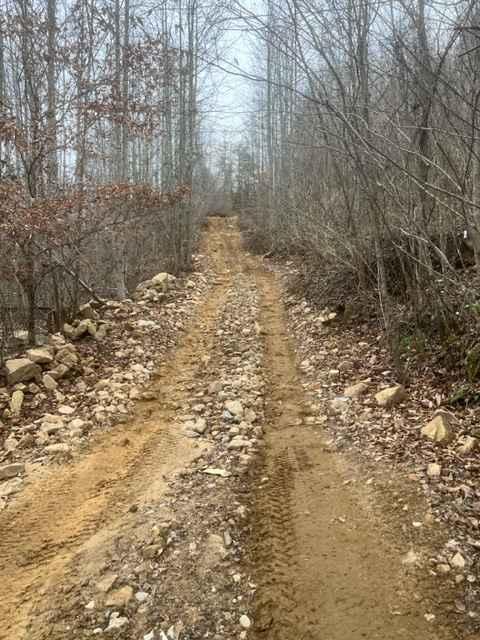 Coalmont OHV Trail 1 Blue