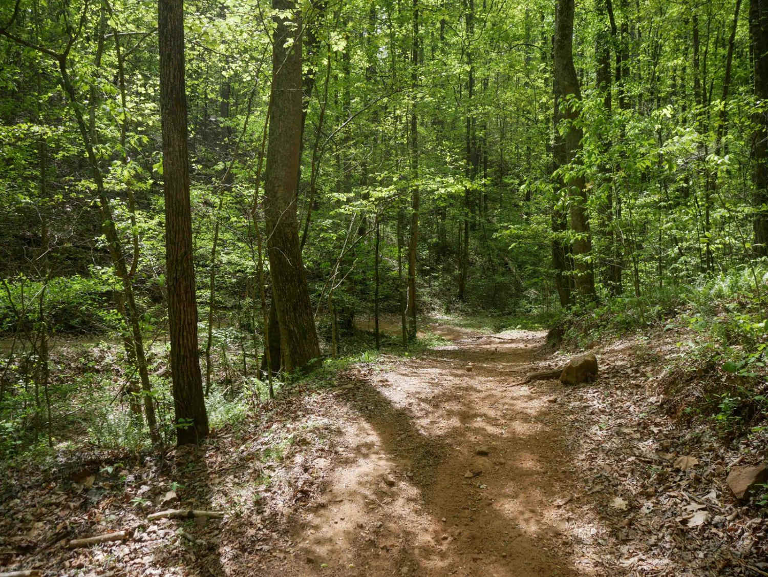 Old Spring Box Loop