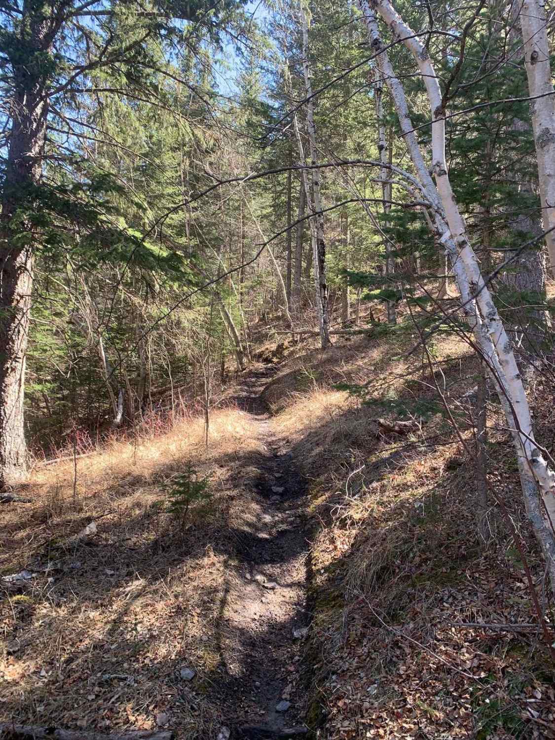 Merrit Peak Central to SE Leg