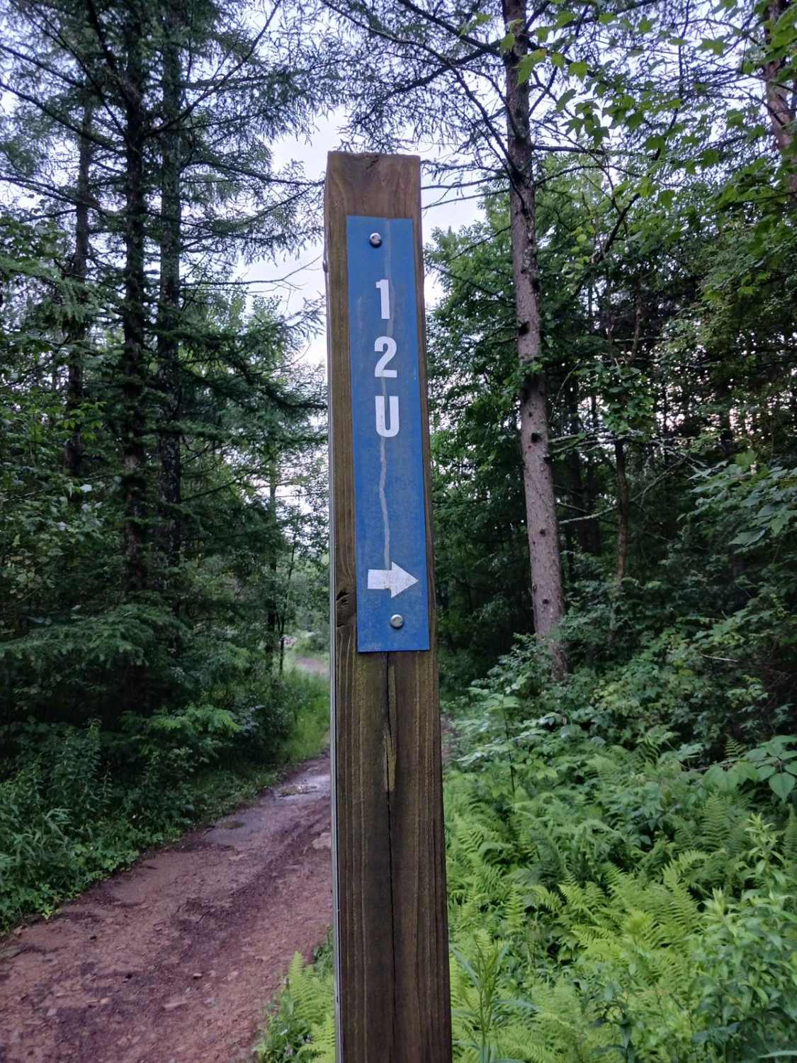 Trail 12U - Rock Run Recreation Area