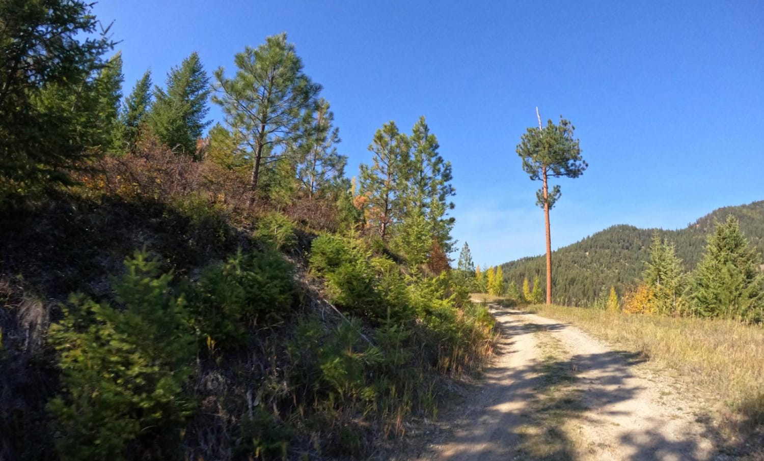 Sloway Gulch Road-Keystone Peak
