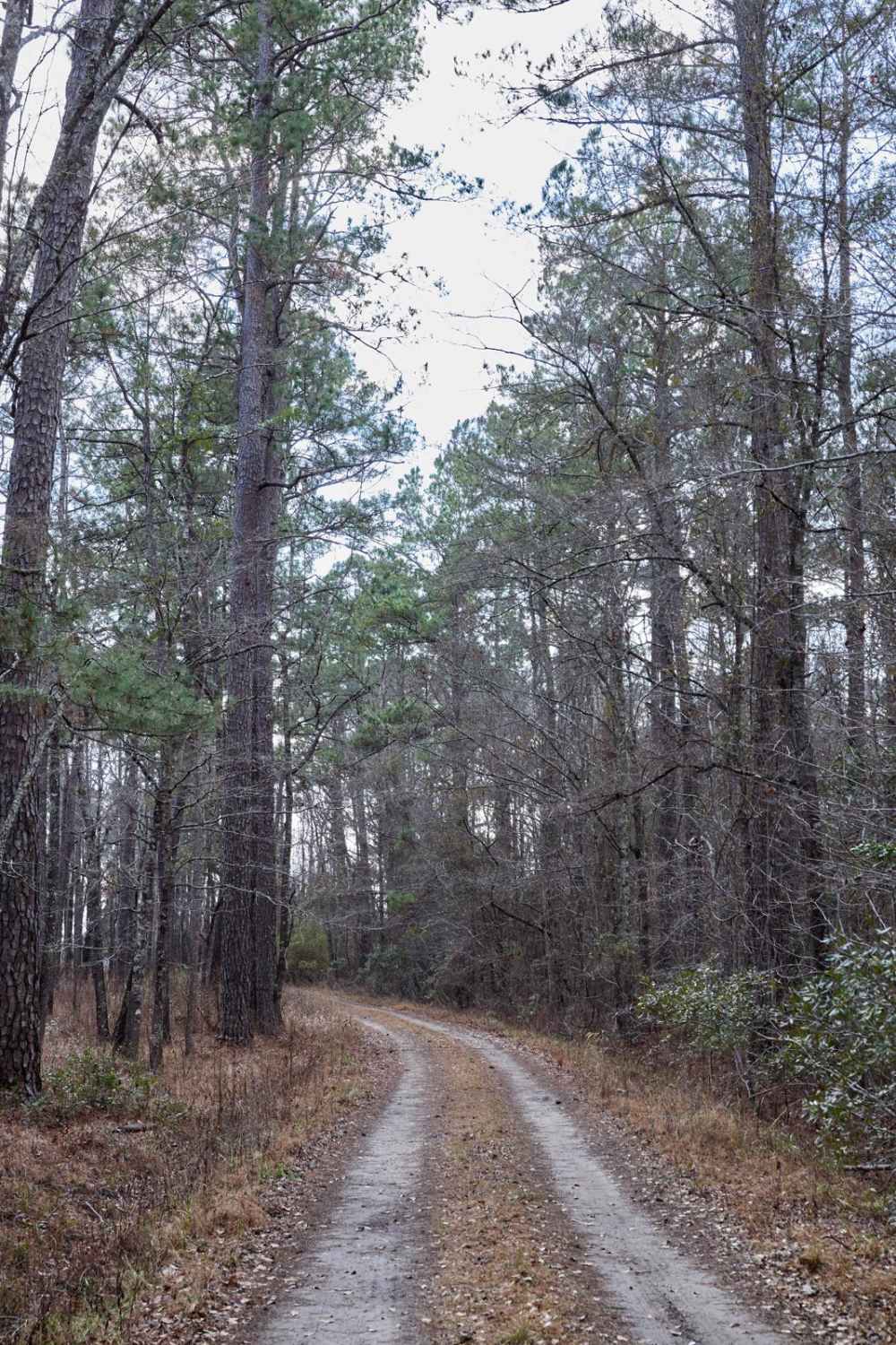 FSR134 - Wright Road