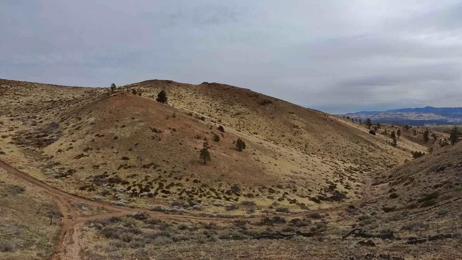 Golden Fleece Mine Road