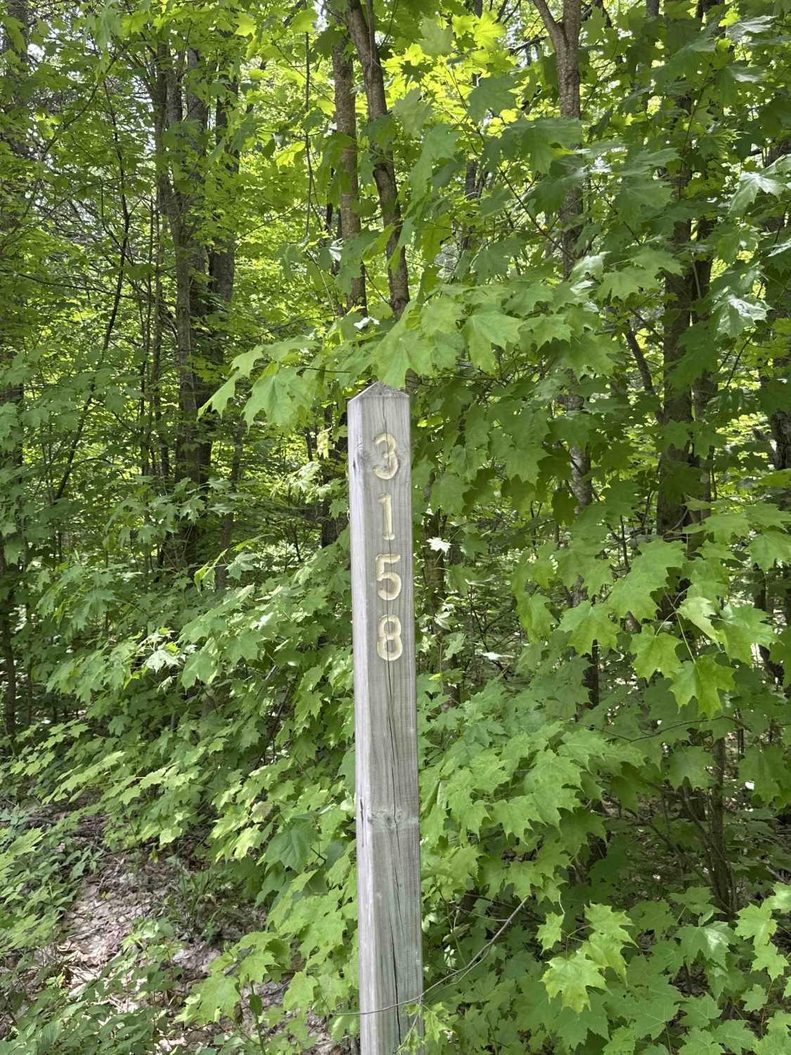 FS 3158