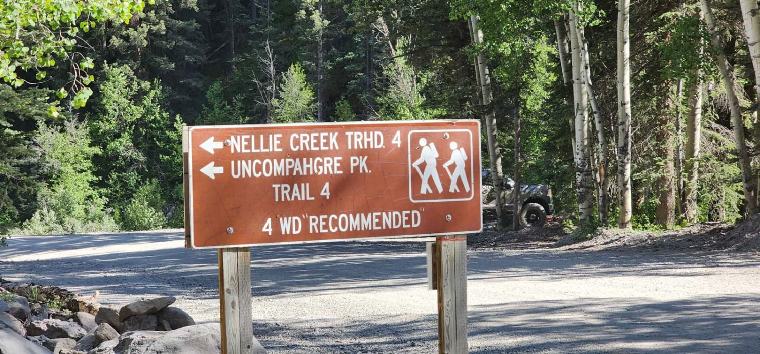 Nellie Creek Road